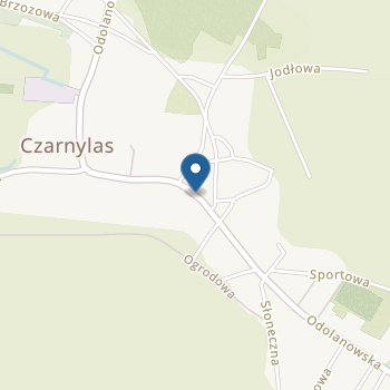 Publiczne Przedszkole Calineczka w Czarnymlesie na mapie