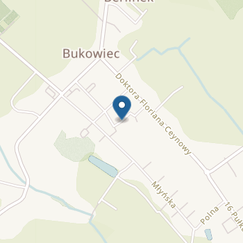 Przedszkole Bukowiec na mapie