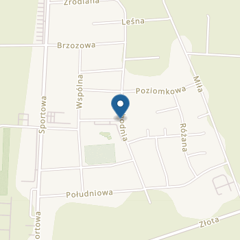 Publiczne Przedszkole Samorządowe w Kleszczowie na mapie