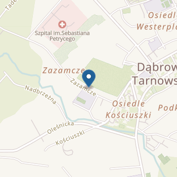 Przedszkole nr 2 w Dąbrowie Tarnowskiej na mapie