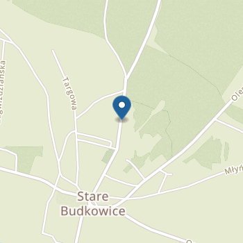 Przedszkole Publiczne w Starych Budkowicach na mapie