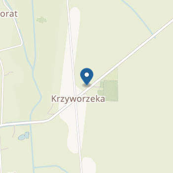 Publiczne Przedszkole w Krzyworzece na mapie