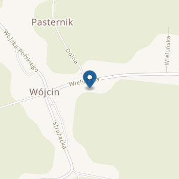 Publiczne Przedszkole Samorządowe w Wójcinie na mapie