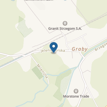 Publiczne Przedszkole nr 4 im. Pszczółki Mai w Strzegomiu na mapie