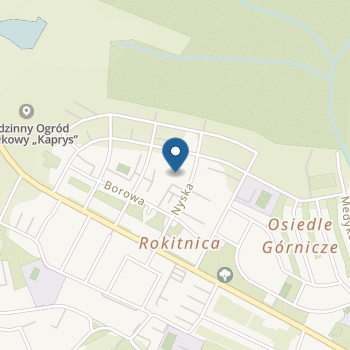 Przedszkole nr 41 w Zabrzu na mapie