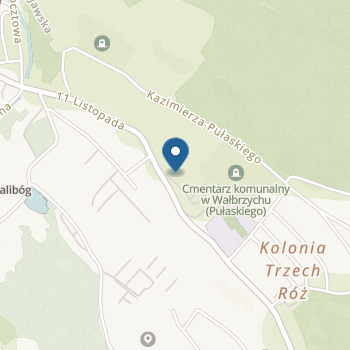 Przedszkole Niepubliczne Zgromadzenia Sióstr św. Elżbiety w Wałbrzychu na mapie