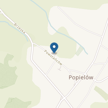 Przedszkole Publiczne w Popielowie na mapie