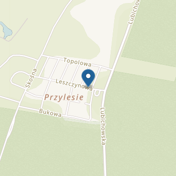 Niepubliczne Przedszkole Przylesie na mapie