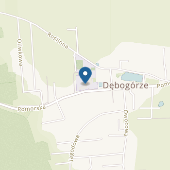 Przedszkole w Dębogórzu na mapie