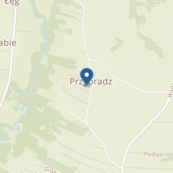 Przedszkole Publiczne w Przybradzu na mapie