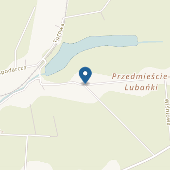 Niepubliczne Przedszkole Specjalne dla dzieci Niepełnosprawnych, ul. Kwiatowa 2, 22-300 Krasnystaw na mapie