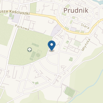 Publiczne Przedszkole nr 4 na mapie