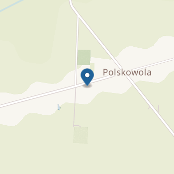 Z. O. Samorządowe Przedszkole w Polskowoli na mapie