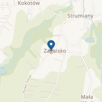 Niepubliczne Przedszkole "Alladyn" w Strumianach na mapie