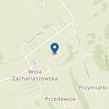 Niepubliczne Przedszkole Baśniowa Kraina na mapie