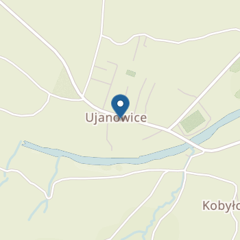 Przedszkole Niepubliczne Siostry Służebniczki Nmp Np Pw. św. Teresy Ujanowice na mapie