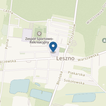 Publiczne Przedszkole Specjalne nr 2 w Specjalnym Ośrodku Szkolno-Wychowawczym im. Płk Jerzego Strzałkowskiego w Lesznie na mapie