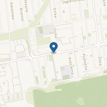 Niepubliczne Przedszkole Kreatywna Planeta na mapie