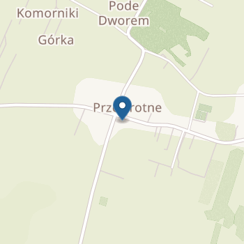 Zespół Szkół w Przewrotnem Publiczne Przedszkole na mapie