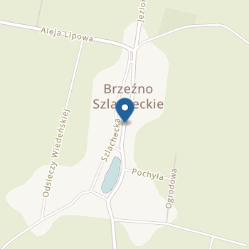 Przedszkole w Brzeźnie Szlacheckim na mapie