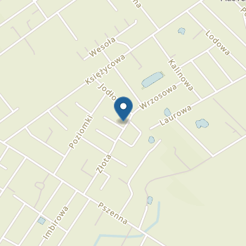 Maluszkowo Przedszkole Niepubliczne na mapie