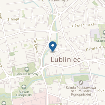 Niepubliczne Przedszkole Językowe "Wyspa Szkrabów" z Oddziałami Specjalnymi na mapie