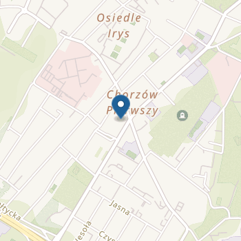 Przedszkole Niepubliczne "Wesołe Pszczółki" na mapie