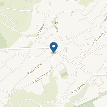 Niepubliczne Przedszkole "Mali Artysci" na mapie