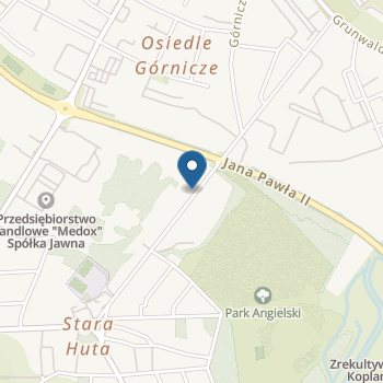 Niepubliczne Przedszkole "Alladyn" w Jaworznie na mapie