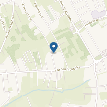 Niepubliczne Przedszkole Dziecięcy Ogród Możliwości z Oddziałami Integracyjnymi na mapie