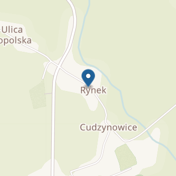 Przedszkole Specjalne w Cudzynowicach na mapie