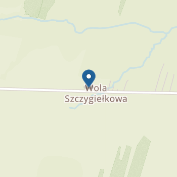 Punkt Przedszkolny w Szkole Podstawowej w Woli Szczygiełkowej na mapie