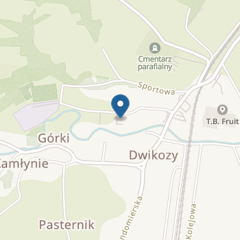 Przedszkole Samorządowe w Dwikozach na mapie