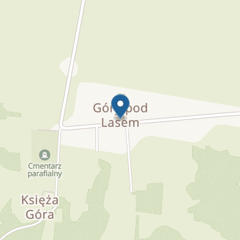 Niepubliczne Przedszkole "Smerf" w Górach Wysokich na mapie