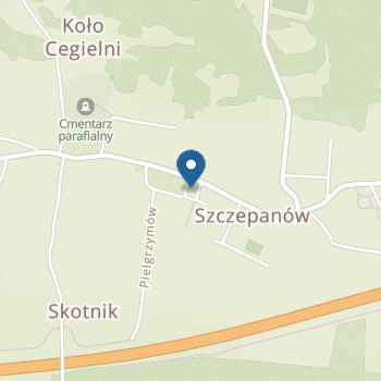 Publiczne Przedszkole im. św. Jana Pawła II w Szczepanowie na mapie