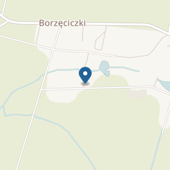 Publiczne Przedszkole w Borzęciczkach na mapie
