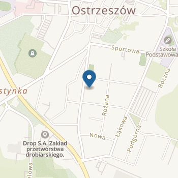 Specjalny Ośrodek Szkolno-Wychowawczy - Przedszkole Specjalne w Ostrzeszowie na mapie