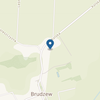 Gminne Przedszkole w Brudzewie na mapie