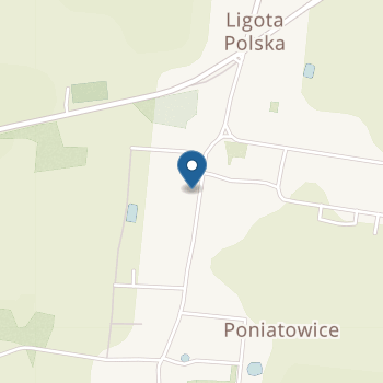 Niepubliczne Przedszkole Przedszkolandia Poniatowice na mapie