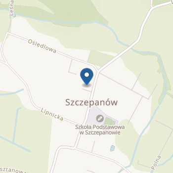 Przedszkole Publiczne w Szczepanowie na mapie
