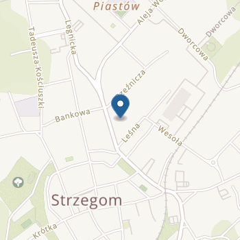 Przedszkole Specjalne nr 7 w Strzegomiu na mapie