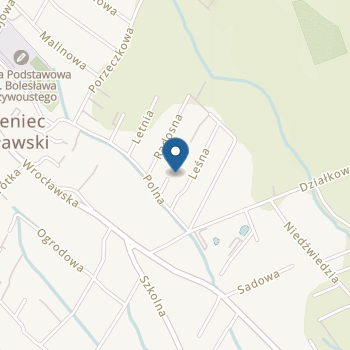 Niepubliczne Przedszkole "Calineczka i Przyjaciele" na mapie