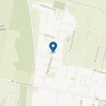 Przedszkole "Alto" na mapie