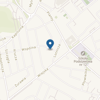 Niepubliczne Przedszkole na Wspólnej na mapie