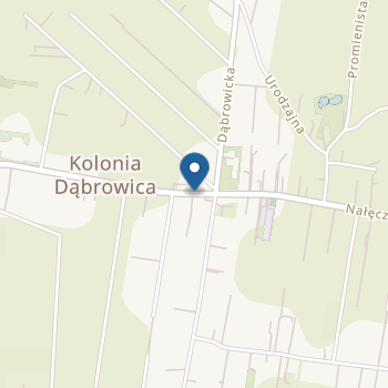 Przedszkole Niepubliczne "Smyk" na mapie