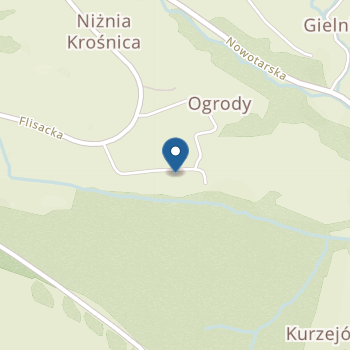 Przedszkole Publiczne w Krośnicach na mapie