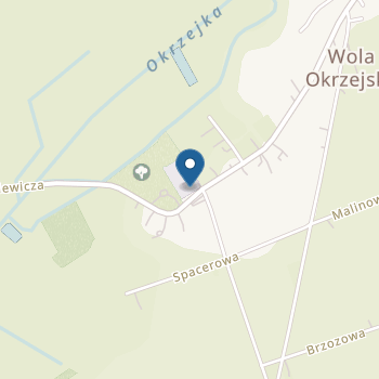 Publiczne Przedszkole w Woli Okrzejskiej na mapie