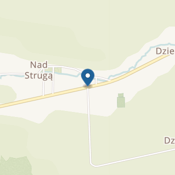 Publiczne Stowarzyszeniowe Przedszkole w Dzielnej na mapie