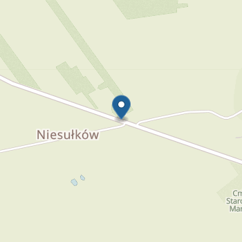 Niepubliczne Przedszkole Świętej Rodziny w Niesułkowie na mapie