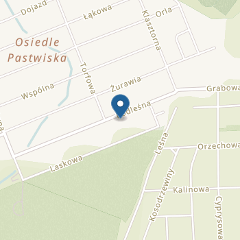 Niepubliczne Przedszkole Radosny Maluszek na mapie